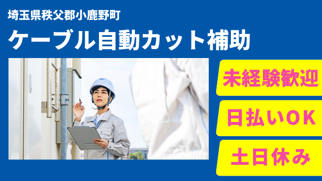 株式会社日本ケイテム 安心の簡単作業【ケーブル検品・整理】11772の工場求人・派遣情報 | ジョバディ工場