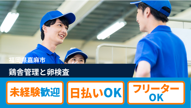 株式会社日本ケイテム 未経験でも安心成長【鶏舎巡回と卵検査】12048の工場求人・派遣情報 | ジョバディ工場