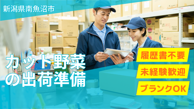 株式会社綜合キャリアオプション 安心の日勤【カット野菜の出荷準備】の工場求人・派遣情報 | ジョバディ工場