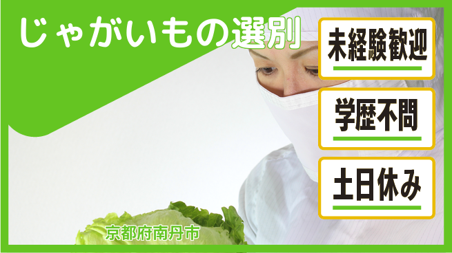 ＵＴエージェント株式会社 【じゃがいもの選別】の工場求人・派遣情報 | ジョバディ工場