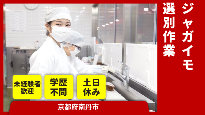 ＵＴエージェント株式会社 【ジャガイモ選別作業】簡単な軽作業の工場求人・派遣情報 | ジョバディ工場