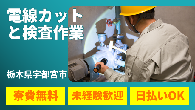株式会社日本ケイテム 力仕事も安心！【電線カットと検査作業】5808の工場求人・派遣情報 | ジョバディ工場