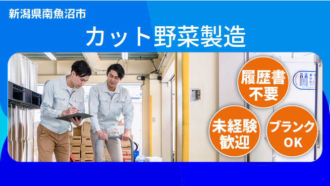 株式会社綜合キャリアオプション 【カット野菜製造】夜勤で安定収入！の工場求人・派遣情報 | ジョバディ工場
