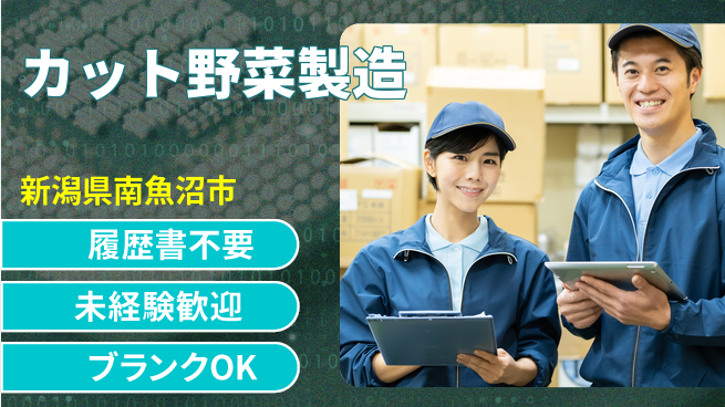 株式会社綜合キャリアオプション 気軽に応募【カット野菜製造】の工場求人・派遣情報 | ジョバディ工場