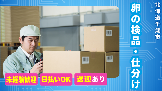 東洋ワーク株式会社 【卵の検品・仕分け】の工場求人・派遣情報 | ジョバディ工場