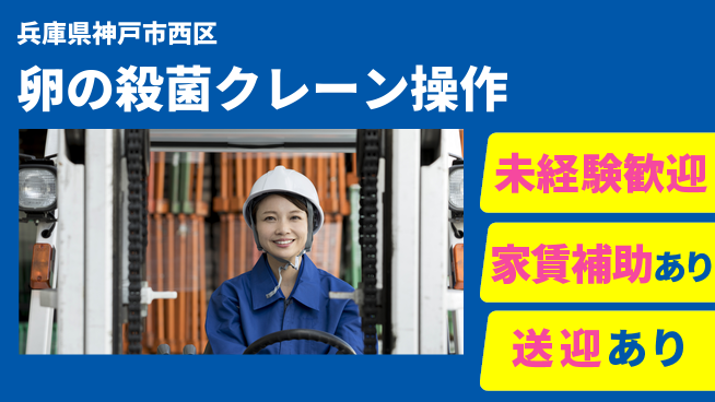 株式会社ウィルオブ・ワーク 資格費用全額負担【卵の殺菌クレーン操作】の工場求人・派遣情報 | ジョバディ工場