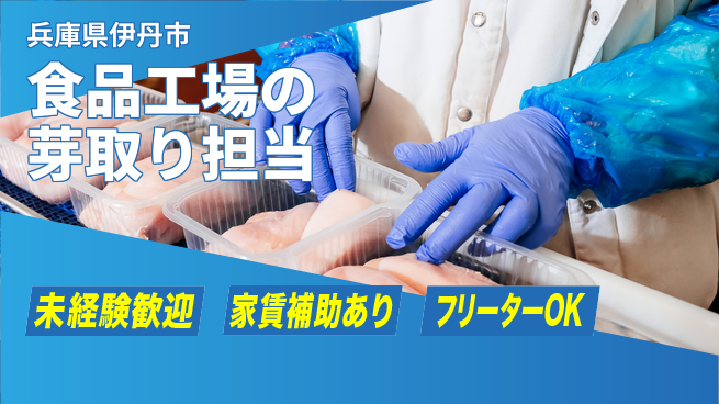 株式会社ウィルオブ・ワーク 即入社可能【食品工場の芽取り担当】の工場求人・派遣情報 | ジョバディ工場