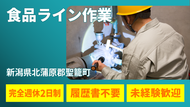 株式会社綜合キャリアオプション ゆとりの週末【食品ライン作業】の工場求人・派遣情報 | ジョバディ工場