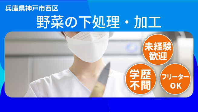 ＵＴエージェント株式会社 簡単作業【野菜の下処理・加工】の工場求人・派遣情報 | ジョバディ工場