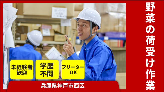 ＵＴエージェント株式会社 【野菜の荷受け作業】の工場求人・派遣情報 | ジョバディ工場