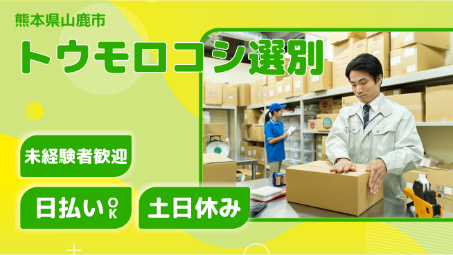 株式会社日本ケイテム 清潔職場【トウモロコシ選別】12346の工場求人・派遣情報 | ジョバディ工場