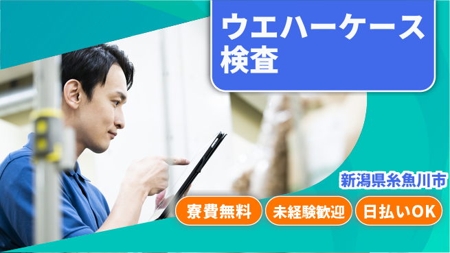 株式会社ワールドインテック 手厚い研修【ウエハーケース検査】の工場求人・派遣情報 | ジョバディ工場