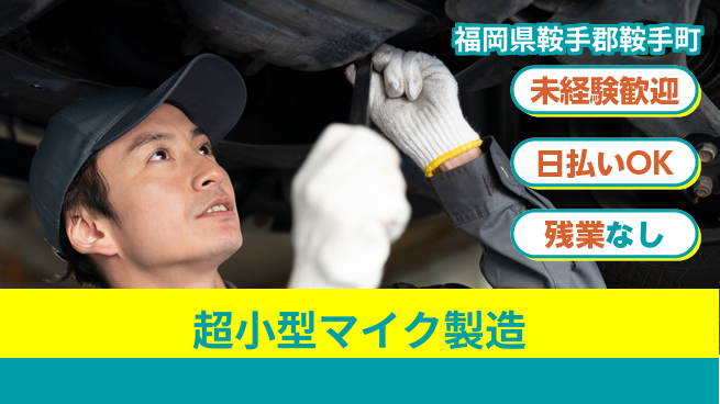 株式会社ワールドインテック 安心の昼勤務【超小型マイク製造】の工場求人・派遣情報 | ジョバディ工場
