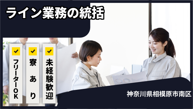 株式会社ウィルオブ・ワーク 安心スタート【ライン業務の統括】の工場求人・派遣情報 | ジョバディ工場