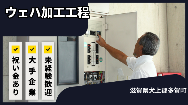 ＵＴエージェント株式会社 スタート応援金【ウェハ加工工程】の工場求人・派遣情報 | ジョバディ工場