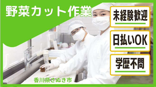 パーソルファクトリーパートナーズ株式会社 安心の昼勤務【野菜カット作業】の工場求人・派遣情報 | ジョバディ工場