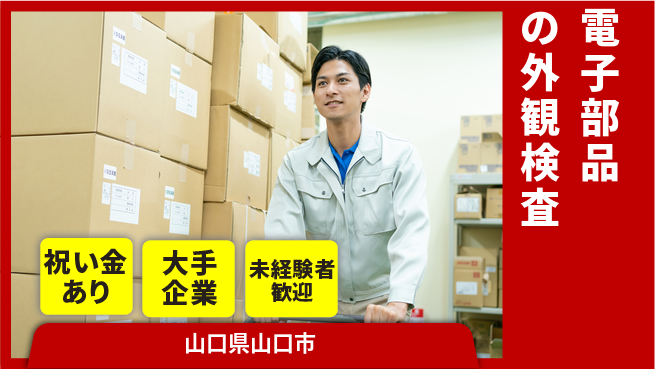 パーソルファクトリーパートナーズ株式会社 高収入可【電子部品の検査】の工場求人・派遣情報 | ジョバディ工場
