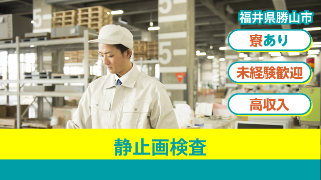 パーソルファクトリーパートナーズ株式会社 好待遇あり【静止画検査】の工場求人・派遣情報 | ジョバディ工場