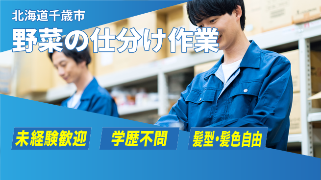 ＵＴエージェント株式会社 安心の日勤【野菜の仕分け作業】の工場求人・派遣情報 | ジョバディ工場