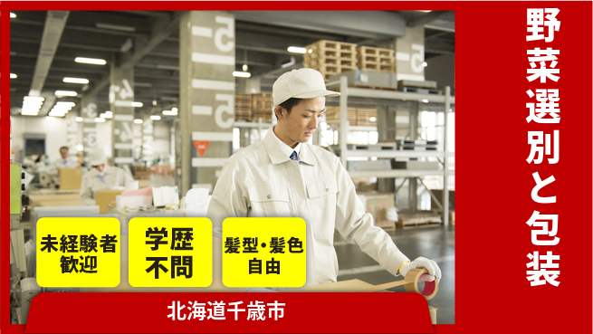 ＵＴエージェント株式会社 手軽な作業【野菜選別と包装】の工場求人・派遣情報 | ジョバディ工場