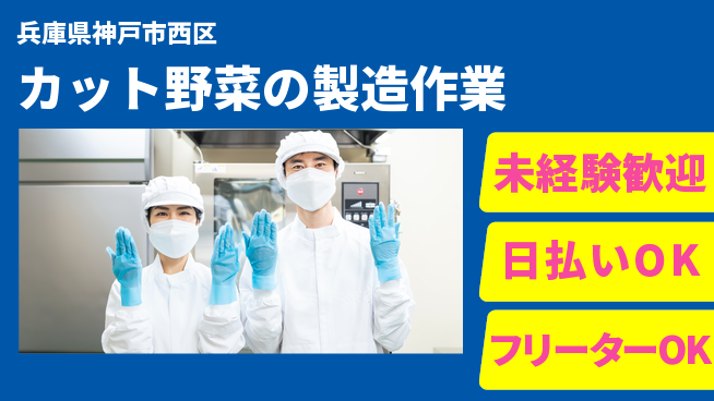 株式会社日本ケイテム 【カット野菜の製造作業】5334の工場求人・派遣情報 | ジョバディ工場