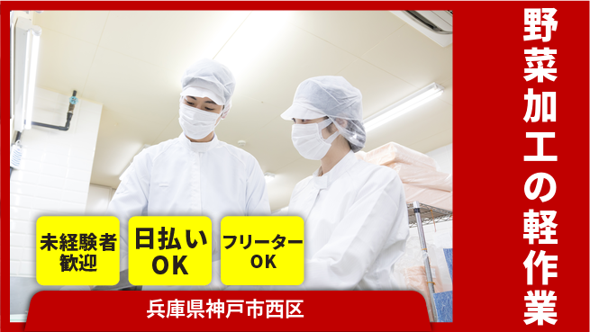 株式会社日本ケイテム 快適環境【野菜加工の軽作業】5334の工場求人・派遣情報 | ジョバディ工場