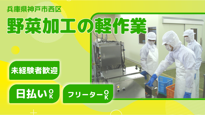株式会社日本ケイテム 快適環境【野菜加工の軽作業】5334の工場求人・派遣情報 | ジョバディ工場