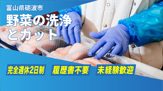 株式会社綜合キャリアオプション しっかり休める【野菜の洗浄と機械カット】の工場求人・派遣情報 | ジョバディ工場