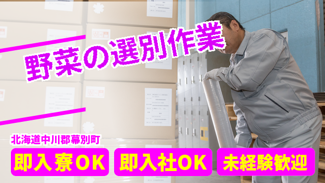 東洋ワーク株式会社 【野菜の選別作業】の工場求人・派遣情報 | ジョバディ工場