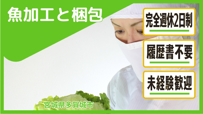 株式会社綜合キャリアオプション 手順かんたん【魚加工と梱包】の工場求人・派遣情報 | ジョバディ工場