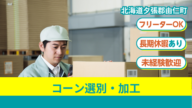 ＵＴエージェント株式会社 自然の恵み【コーン選別・加工】の工場求人・派遣情報 | ジョバディ工場