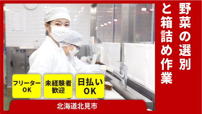 東洋ワーク株式会社 【野菜の選別と箱詰め作業】の工場求人・派遣情報 | ジョバディ工場