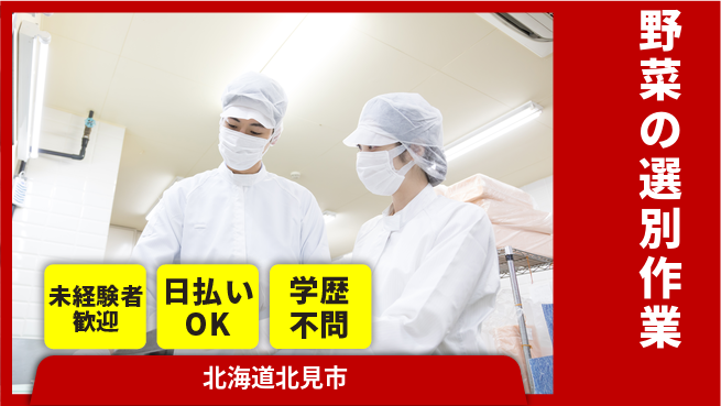 東洋ワーク株式会社 健康維持に最適【野菜の選別作業】の工場求人・派遣情報 | ジョバディ工場