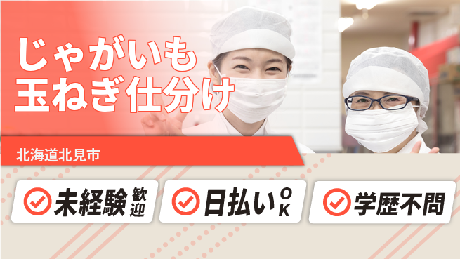 東洋ワーク株式会社 安心スタート可【じゃがいも玉ねぎ仕分け】即入社OK【じゃがいも玉ねぎ仕分け】安心スタート可の工場求人・派遣情報 | ジョバディ工場