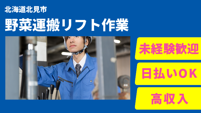 東洋ワーク株式会社 【野菜運搬リフト作業】の工場求人・派遣情報 | ジョバディ工場