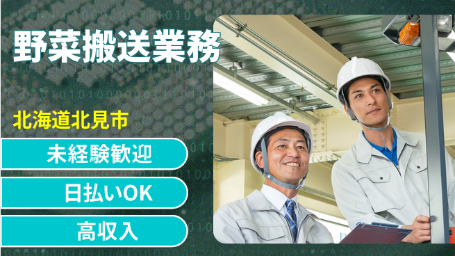東洋ワーク株式会社 安心スタート【野菜搬送業務】の工場求人・派遣情報 | ジョバディ工場