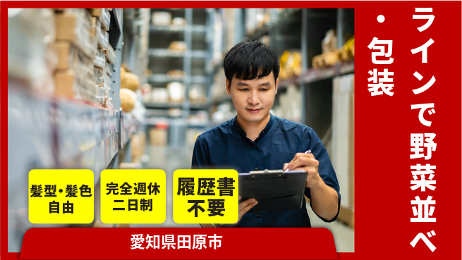 株式会社綜合キャリアオプション ラインで野菜並べ・包装の工場求人・派遣情報 | ジョバディ工場