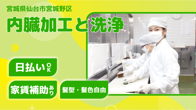 株式会社綜合キャリアオプション 完全週休2日制【内臓加工と洗浄】オフも充実の工場求人・派遣情報 | ジョバディ工場