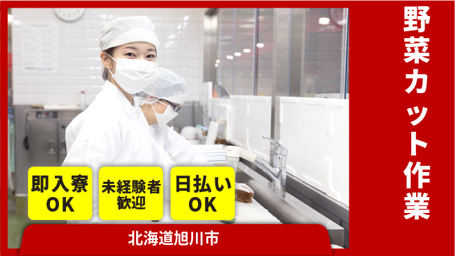 東洋ワーク株式会社 安心スタート【野菜カット作業】の工場求人・派遣情報 | ジョバディ工場