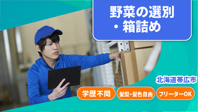 東洋ワーク株式会社 柔軟シフト【野菜の選別・箱詰め】の工場求人・派遣情報 | ジョバディ工場