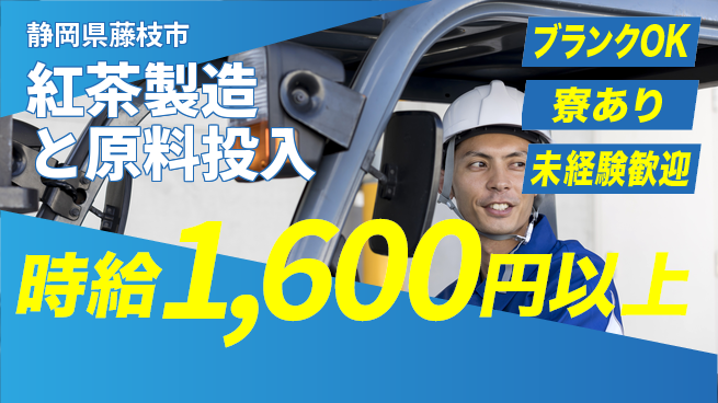 株式会社BREXA Next 【紅茶製造と原料投入】の工場求人・派遣情報 | ジョバディ工場