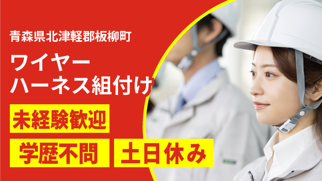 ＵＴエージェント株式会社 丁寧な作業【ワイヤーハーネス組付け】の工場求人・派遣情報 | ジョバディ工場