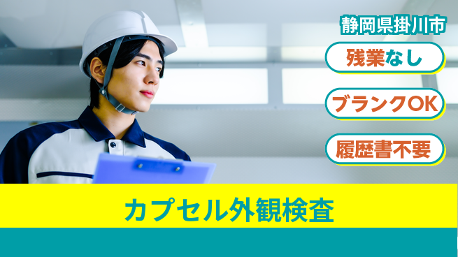 株式会社平山 定時退勤可能【カプセル外観検査】の工場求人・派遣情報 | ジョバディ工場