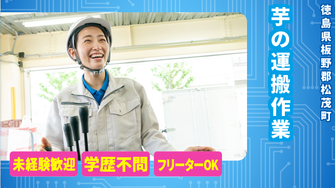 パーソルファクトリーパートナーズ株式会社 安心の昼勤務【芋の運搬作業】の工場求人・派遣情報 | ジョバディ工場