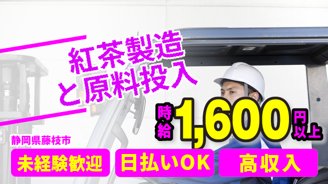 株式会社BREXA Next 【紅茶製造と原料投入】の工場求人・派遣情報 | ジョバディ工場