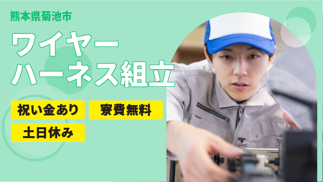 株式会社ビート 手厚い研修【ワイヤーハーネス組立】の工場求人・派遣情報 | ジョバディ工場