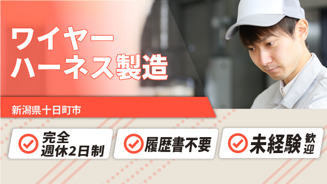 株式会社綜合キャリアオプション 簡単作業【ワイヤーハーネス製造】の工場求人・派遣情報 | ジョバディ工場