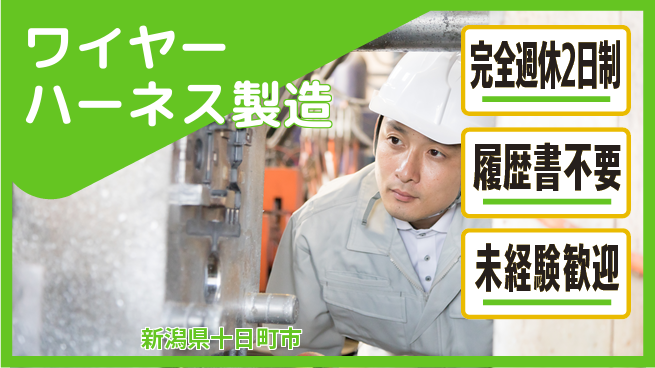 株式会社綜合キャリアオプション 安心スタート【ワイヤーハーネス製造】の工場求人・派遣情報 | ジョバディ工場