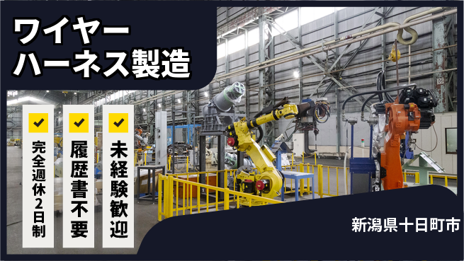 株式会社綜合キャリアオプション 簡単作業【ワイヤーハーネス製造】の工場求人・派遣情報 | ジョバディ工場