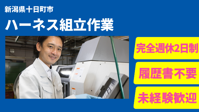 株式会社綜合キャリアオプション 【ハーネス組立作業】の工場求人・派遣情報 | ジョバディ工場